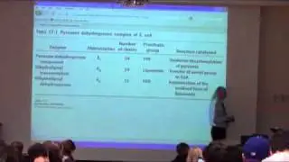 Citric Acid Cycle I