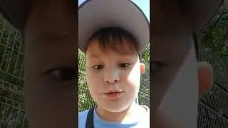 #гуляем