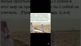 6 сентября 2024 г.