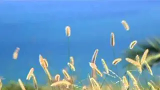 AutoTest: 20110824-0547-HD Quality (960x720)