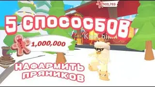 5 СПОСОБОВ НАФАРМИТЬ ПРЯНИКОВ в Adopt Me Roblox | Gingerbrad in Roblox