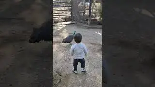 Давид и Нати в живом уголке. Ган Гуру. 30.1.22