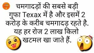 OH MY GOSH चमगादड़ के बारे में ऐसी जानकारी जिनके बारे में कोई नहीं जानता। BY LATEST WORLD