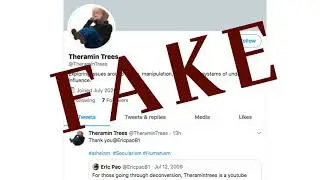 fake Twitter account