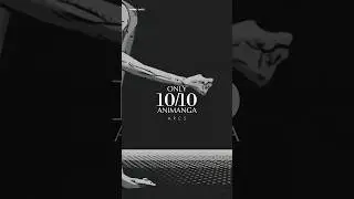 Only 10/10 Animanga Arcs