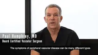 What are the symptoms of Peripheral Vascular Disease (PVD)?