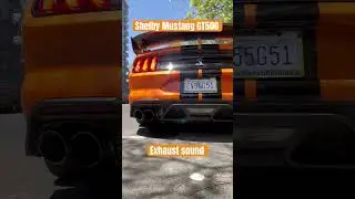 Shelby Mustang GT 500 Exhaust Sound #youtubeshorts #shorts
