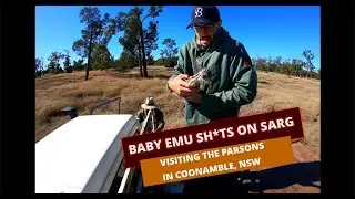 Coonamble, NSW - Animals, 4 Wheelers & Friends!