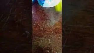 так много проблем, но так мало времени... (1сезон, 1 серия) #динрзаврики:) #monster_cat;)
