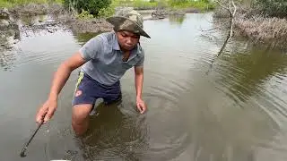 Harvesting Fresh Oysters and Eat Fresh Oyster with Spicy Sauce
