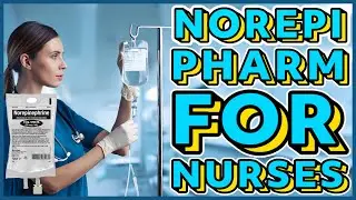 Norepinephrine Pharmacology | Everything You Need to Know