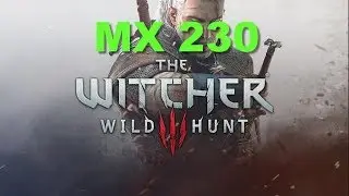 Witcher 3 Gaming MX 230 Benchmark
