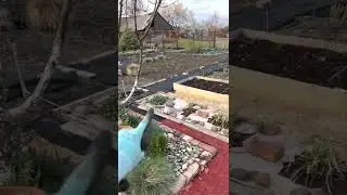 Влог / маленькие изменения/ маленькими шагами к красоте
