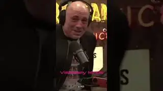 Joe Rogan’s Insane Reaction To The Worst Hoarder In TV History 😂 