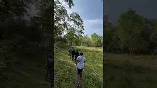 #nature
