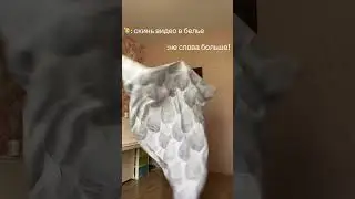 кринж из лайка только в тг обычный пряник #смешно #мем #лайк #ржака #cat #sigma #юмор #funny #дуэт