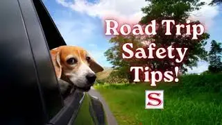 Summer Road Trip Safety Tips!