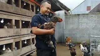 AYAM BRAHMA | PART 2