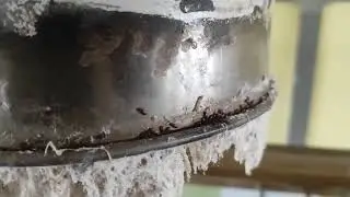 Под рукавом подачи муки на хлебозаводе. Bakery.