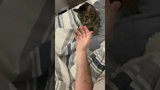 When you want emotional support but…