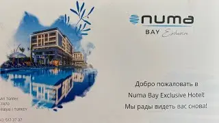 Numa Bay- учим детей фридайвинга в бассейне )