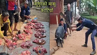 Pig Meat Cutting In Nepali Village Style || सुंगुरको मासु || Pork Cutting Skills 