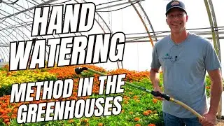 Hand WATERING Method in the Greenhouse - How We Water Benches