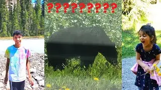 Meeting a Bear on Our Way to The Norquay Ski Resort | Our Trip to Banff, Vlog Series Ep. 2