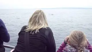 Whalewatching Monterey