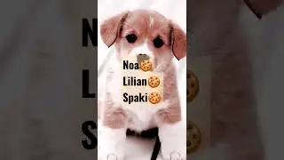 🎉 feliz día de la madre 🎉 nombres astetic y bonitos para perritos pt 2 y última 