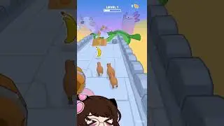 CapybaraRush играю в (капибару раш) 