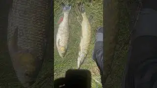 Нічна риболовля !!!