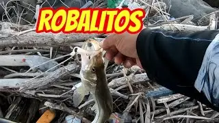 Robaletes con señuelo blando