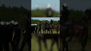 Atestacja koni #policja #konie #szkolenia #częstochowa