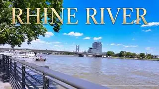 Rhine River I Cologne Walking Tour I Sunny Day in Germany 2024