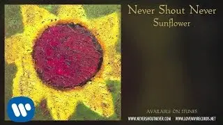 Never Shout Never  - 