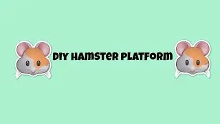DIY Hamster Platform