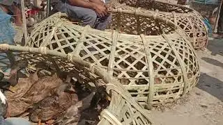 পাখির হাট ।। পাখির মেলা