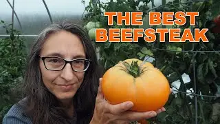 The Best Beefsteak