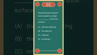 No.295 | TOEFL - Structure Questions (Reduced Adjective Clause / Participial Adjective)