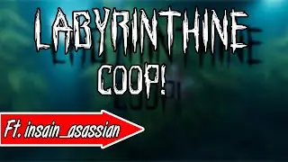 Jumpscare Simulator! - Labyrinthine