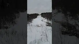 снегоход Тайга#покатушки #снегоход #снег #polaris