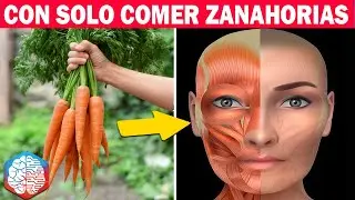 ¿Qué pasa cuando empiezas a comer zanahorias todos los días?