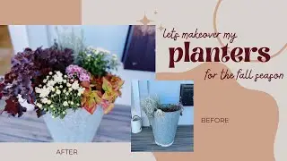 Fall Planter | Makeover + Refresh | Simple + Budget Friendly Fall Decor