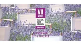 Festival de la Lavanda promo 2018