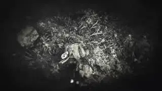 A Hero's Death - Red Dead Redemption 2