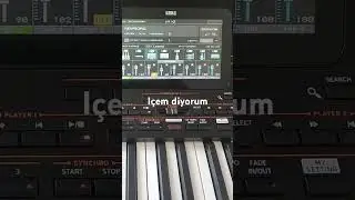 Içem diyorum