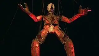 Performance of the 