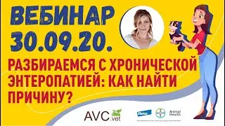 Разбираемся с хронической энтеропатией: как найти причину?
