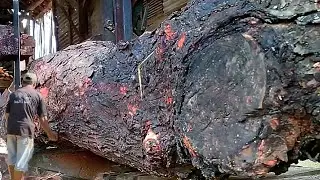 Like a Treasure || Amazing Rotten Wood || Sawmill